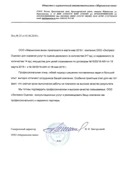 Отзыв о подготовке отчета для нотариуса